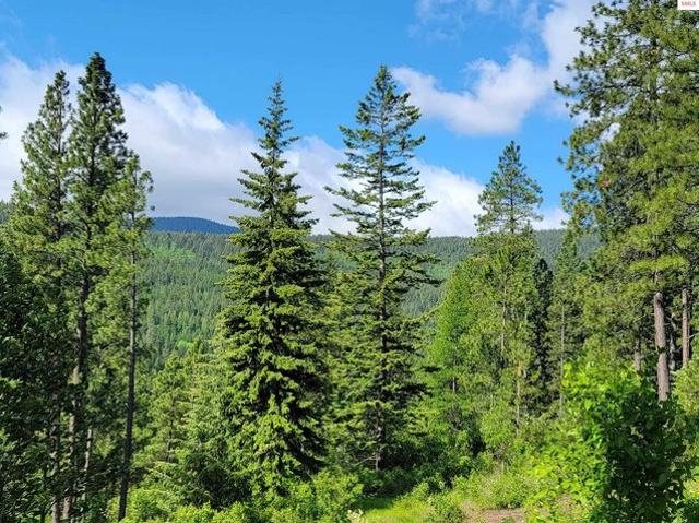 Land for sale in Bonners Ferry, Idaho