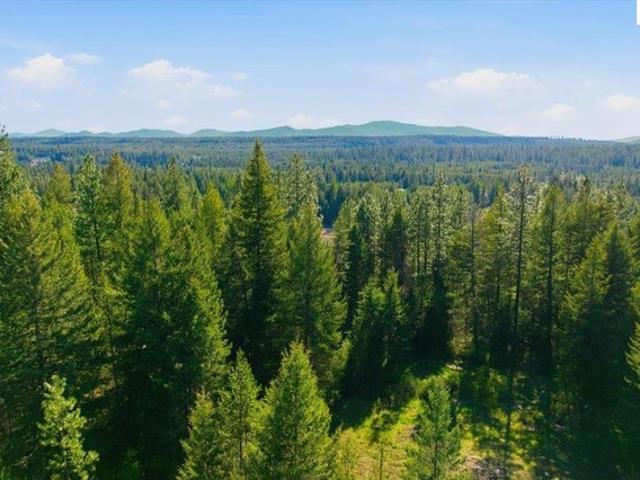 Land for sale in Athol, Idaho