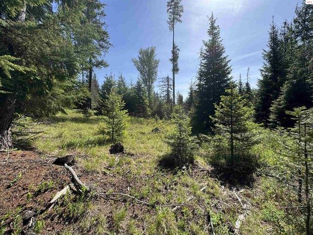 Land for sale in Priest River, Idaho
