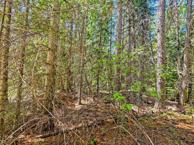 Land for sale in Priest River, Idaho