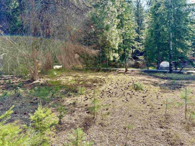 Land for sale in Bonners Ferry, Idaho