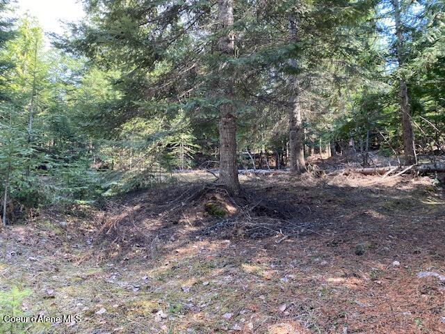 Land for sale in Sandpoint, Idaho