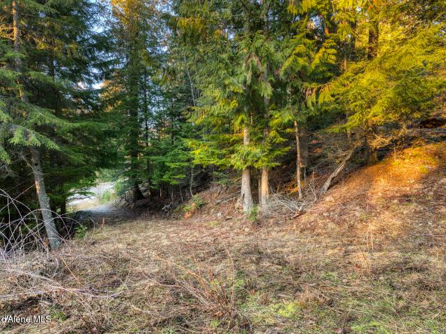 Land for sale in Idaho