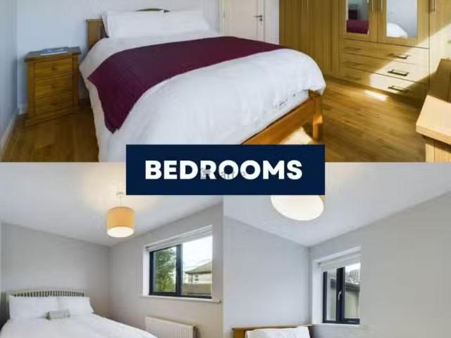 House to rent