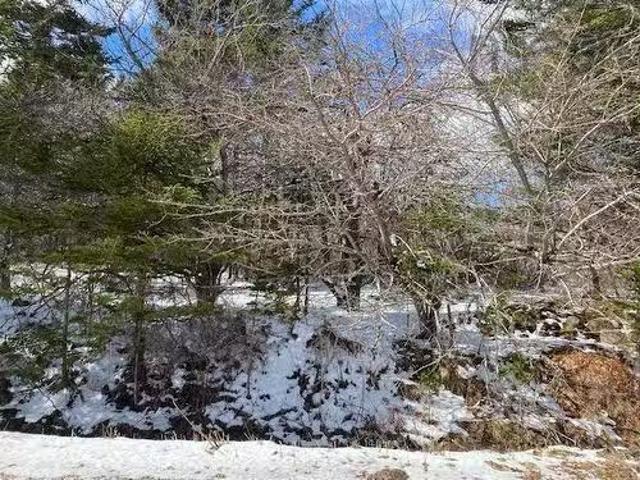 House for sale in Maitland Bridge, Annapolis County