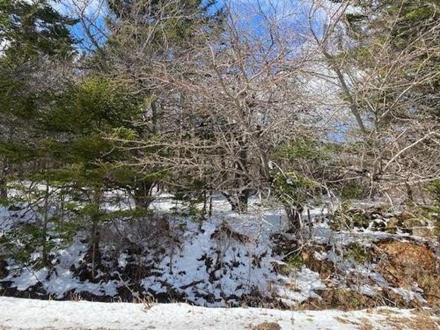 Land for sale in Maitland Bridge, Nova Scotia