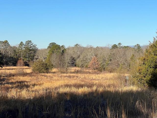 Land for sale in Ark
