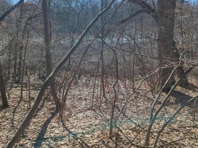 Land for sale in Sand Lake, Michigan