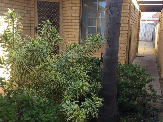 Apartment for rent in Kardinya, Western Australia