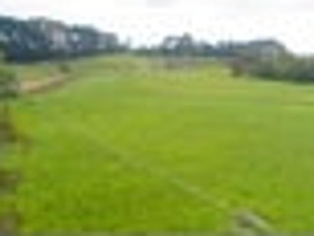 Land for sale in Rangitikei District