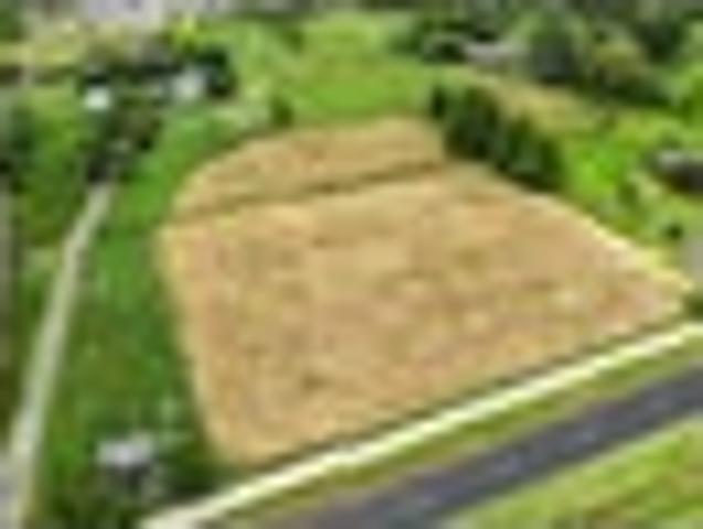 Land for sale in Kauwhata, Waikato