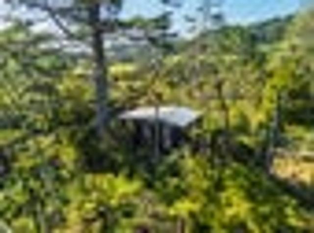 Land for sale in Karetu, Northland