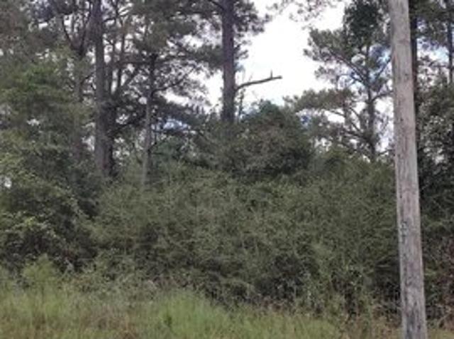 Land for sale in Lumberton, Lamar County