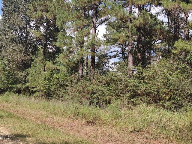 Land for sale in Lumberton, Pearl River County