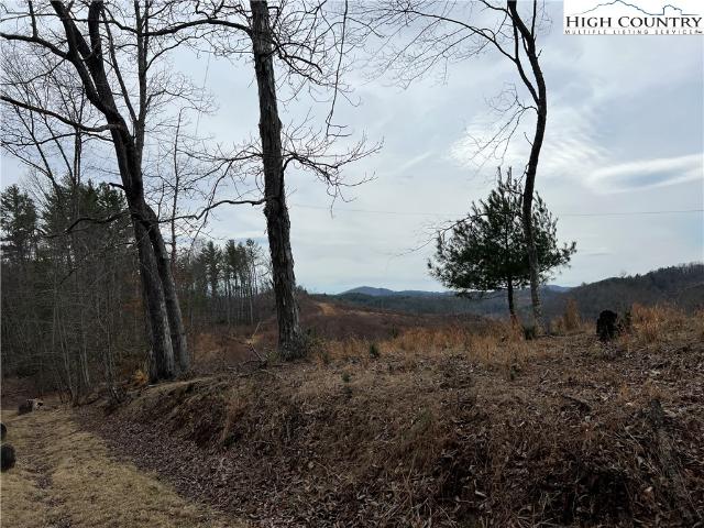 Land for sale in North Carolina