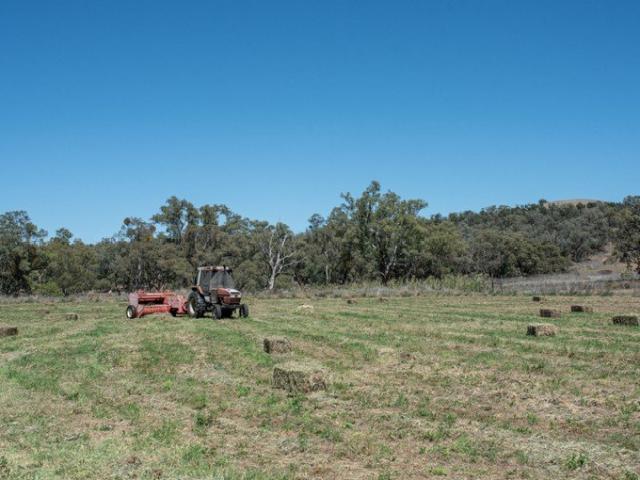 Cottage for sale in Geurie, New South Wales