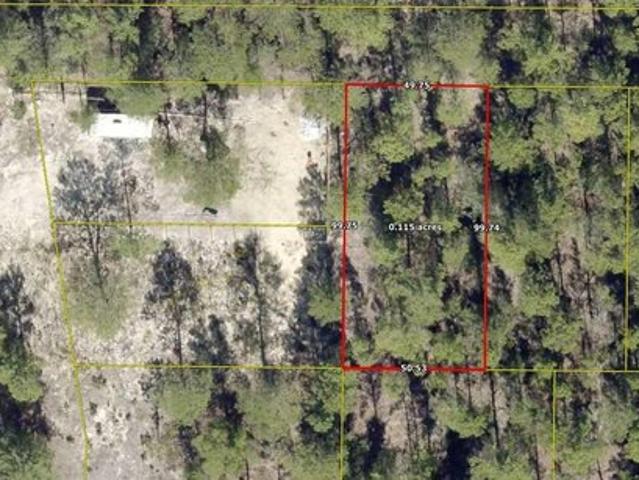 Land for sale in Walton, Florida