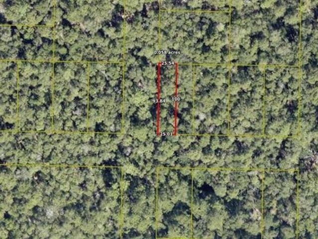 Land for sale in Walton, Florida