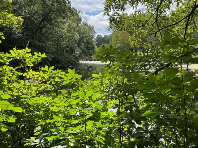 Property for sale in Nassau, New York
