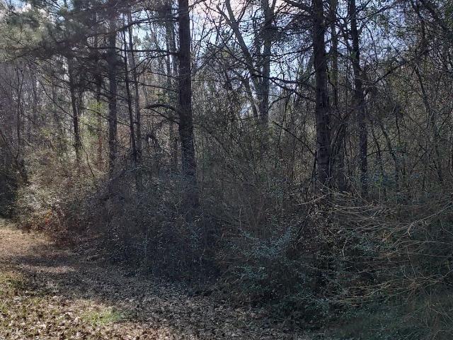 Land for sale in Lumberton, Mississippi