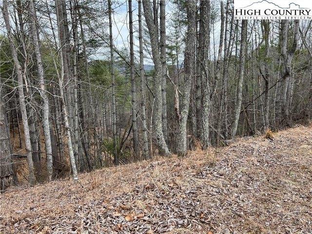 Land for sale in North Carolina