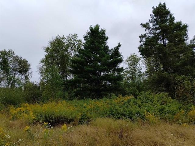 Land for sale in Rock, Michigan