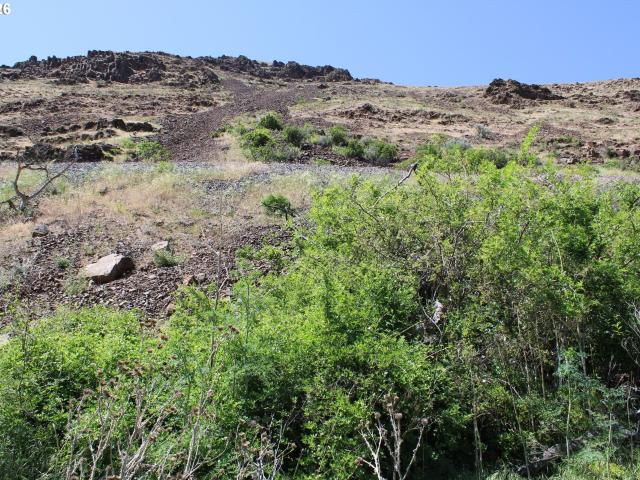 Land for sale in Oregonia