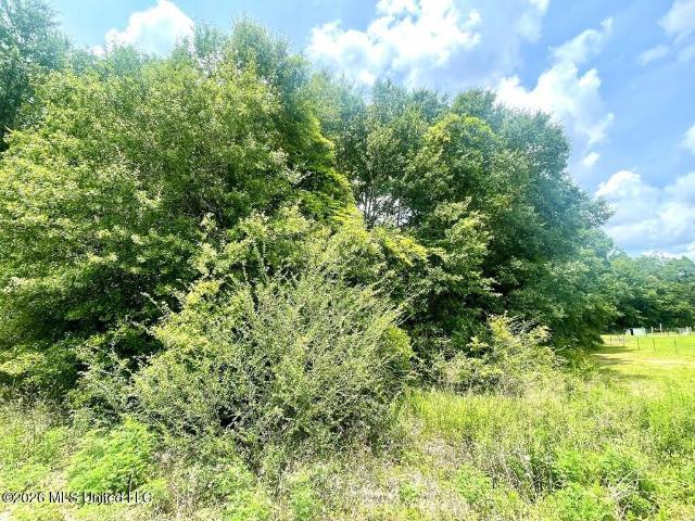Land for sale in Juniper Grove, Poplarville