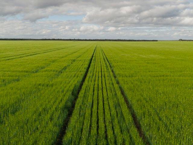 Acreage for sale in Buraminya, Western Australia