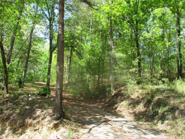 House for sale in Jacksonville, Alabama
