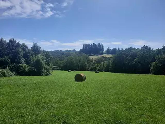 Terrain vente à Castres, Noailhac