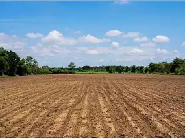 Terrain vente à Langon, Noaillac