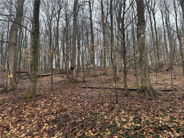 Land for sale in Oneida, New York