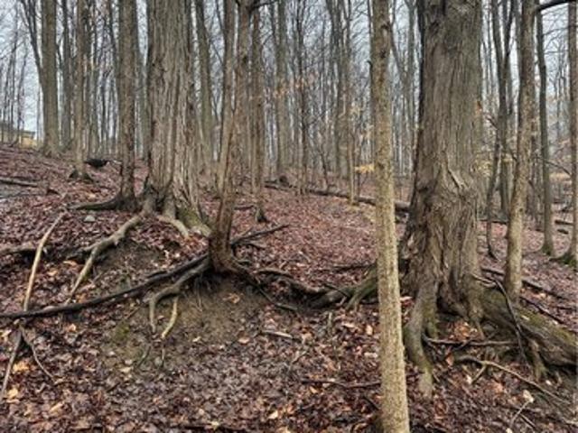 Land for sale in Oneida, New York