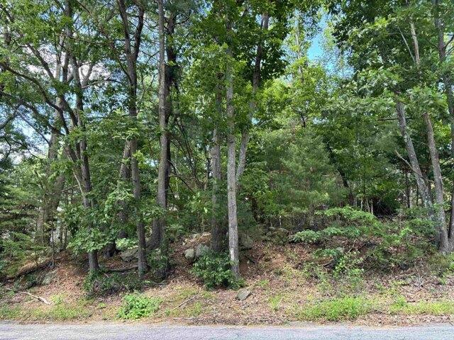 Land for sale in New Hampshire