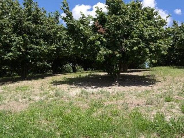 Terreno in vendita a Piemonte, Cuneo