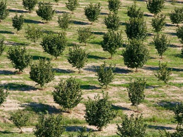Terreno in vendita a Piemonte, Torino