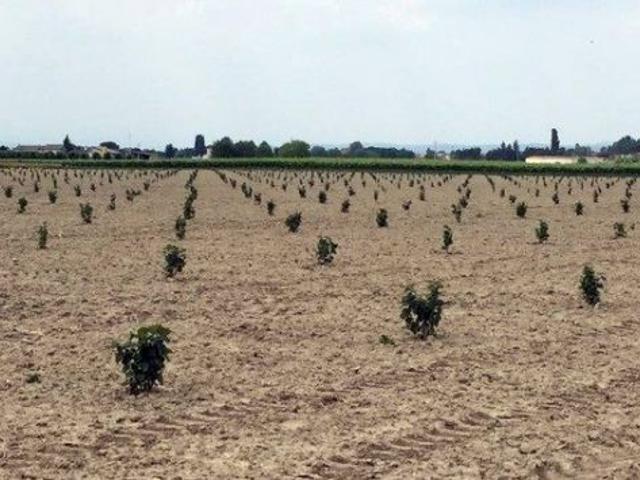 Terreno in vendita a Piemonte, Vercelli