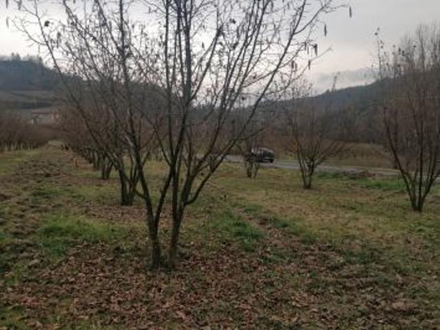 Terreno in vendita a Piemonte, Alessandria