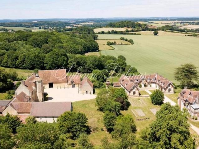 Château vente à Mortagne-au-Perche, Nocé