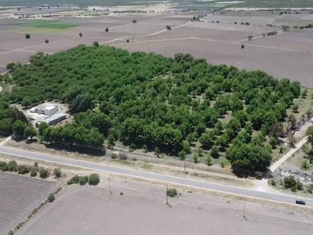 Terreno en venta en Poanas, Durango