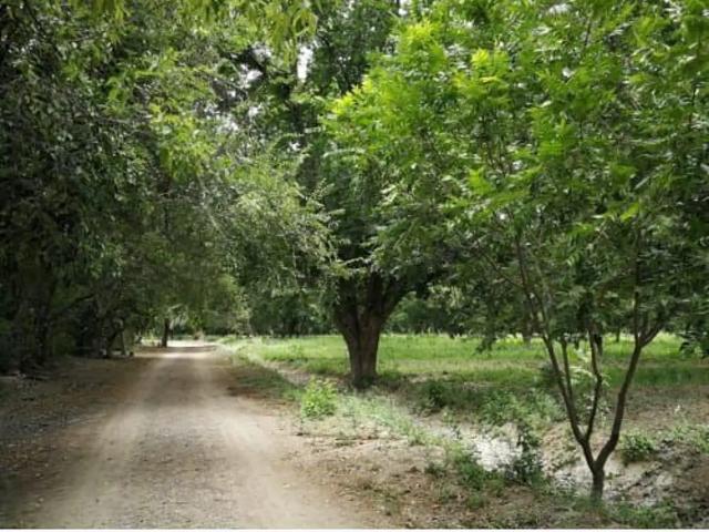 Terreno en venta en San Buenaventura, Coahuila