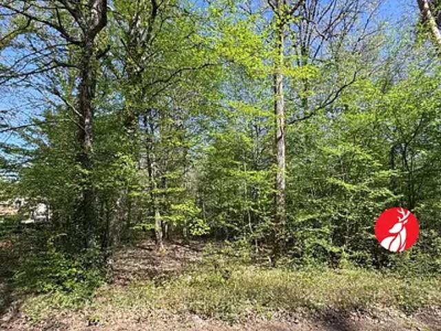 Terrain vente à Fontainebleau, Noisy-sur-ecole