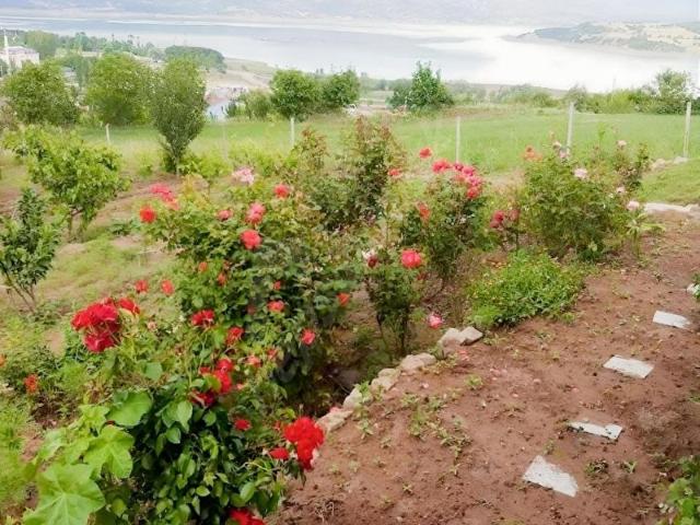 Almus, Tokat içerisinde satılık mülk