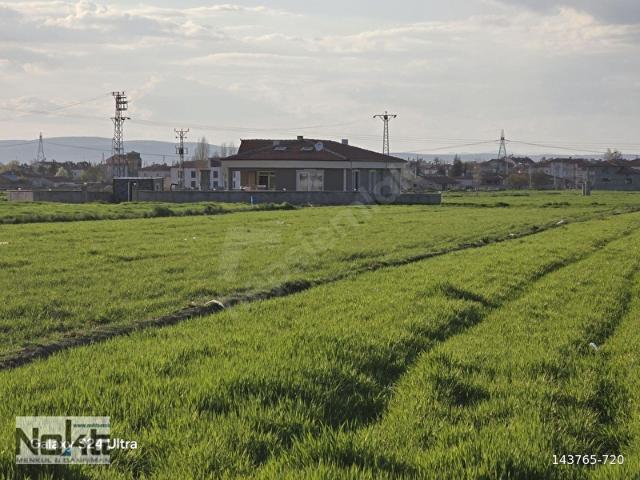 Afyon Merkez, Afyonkarahisar içerisinde satılık Villa