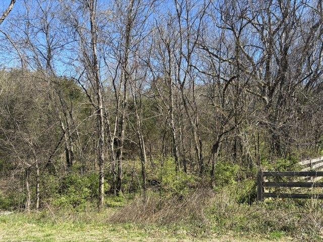 Land for sale in Tennessee