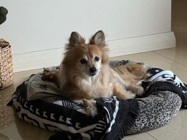 Room for rent in Stirling, Western Australia