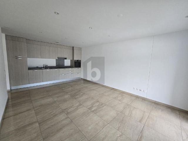 Apartment mieten in Sementina, Bellinzona