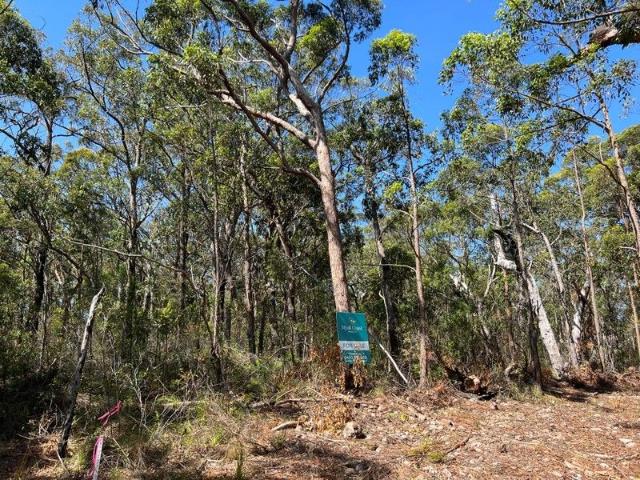 Land for sale in Pindimar, New South Wales