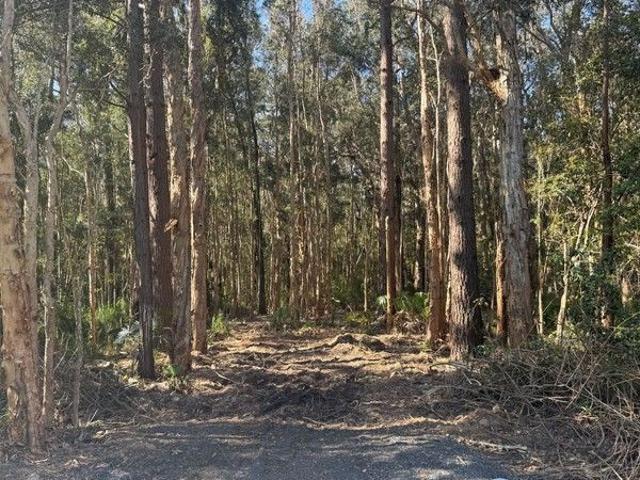 Land for sale in Pindimar, New South Wales